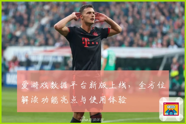 爱游戏数据平台新版上线，全方位解读功能亮点与使用体验
