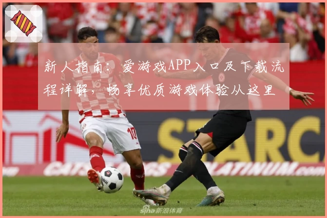 新人指南：爱游戏APP入口及下载流程详解，畅享优质游戏体验从这里开始