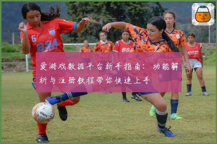 爱游戏数据平台新手指南：功能解析与注册教程带你快速上手